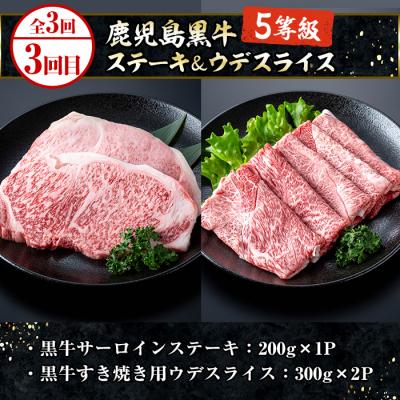 ふるさと納税 いちき串木野市 <3ヶ月定期便>いちき串木野プレミアム定期便(マグロ・鰻・牛肉) |  | 03