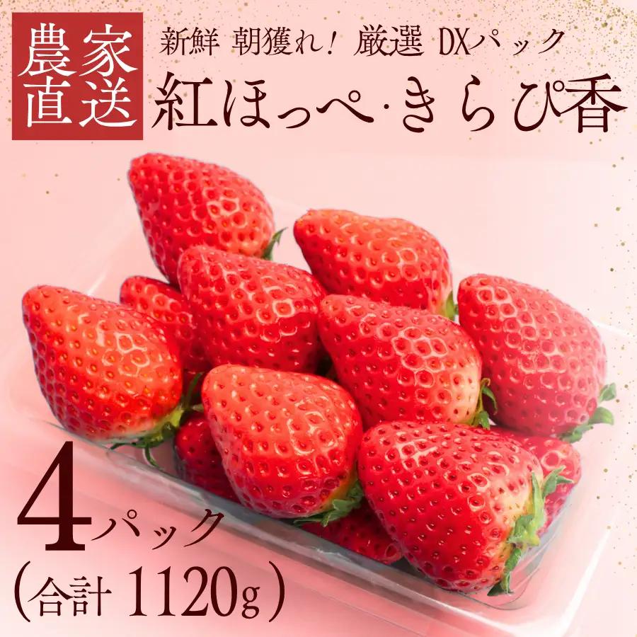 【先行予約＿2027年出荷分】いちご 厳選いちご 280g×4パック