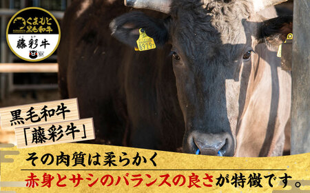 【6回定期便】くまもと黒毛和牛「藤彩牛」2種の食べ比べ計500g 3900【有限会社 スイートサプライなかぞの】[ZDT128]