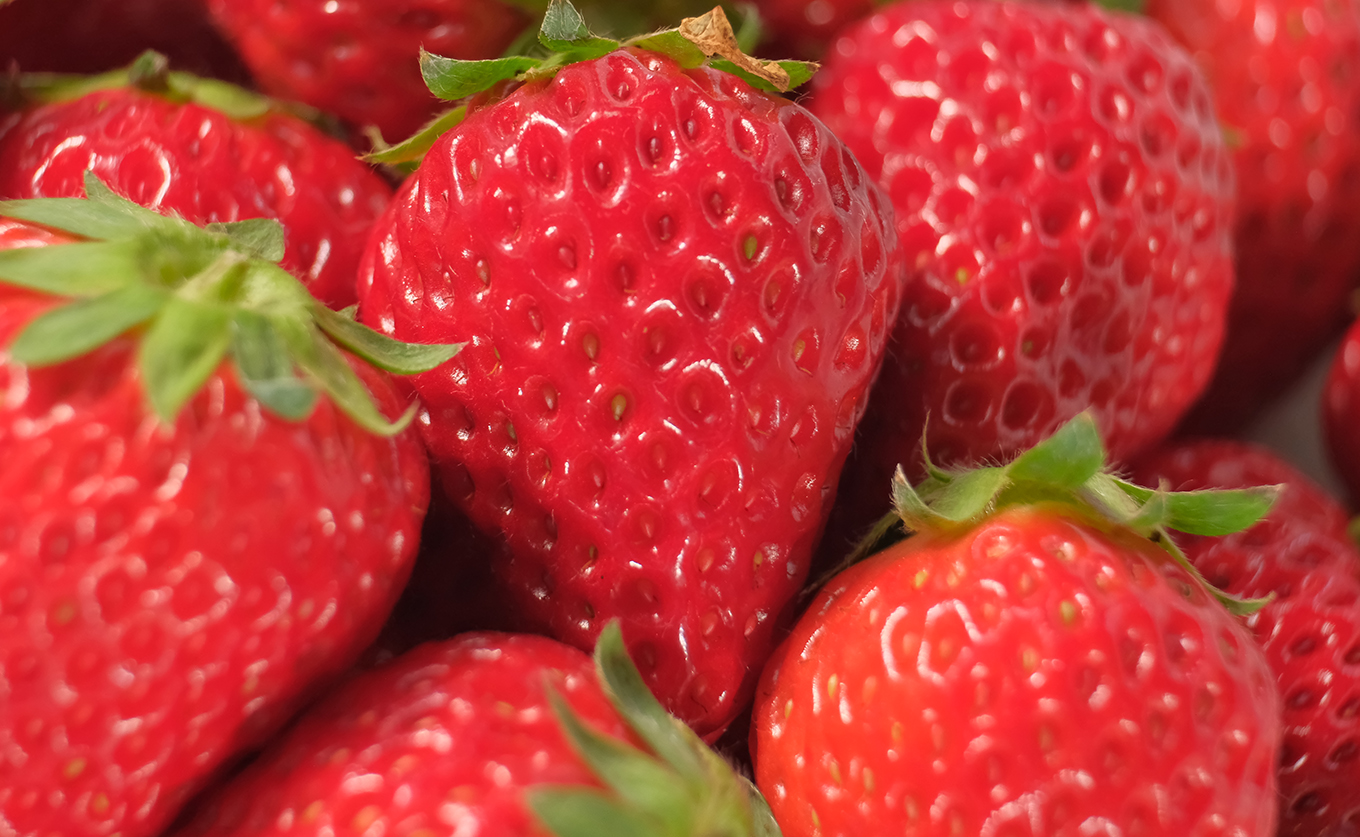 【高知県 大月町産】紅ほっぺ　約200g×4パック｜いちご 800g 果物 フルーツ 苺 イチゴ くだもの 野菜 旬 美味しい 朝採り 新鮮 期間限定 ご褒美 産地直送 贈答用 自宅用 高知県 大月町