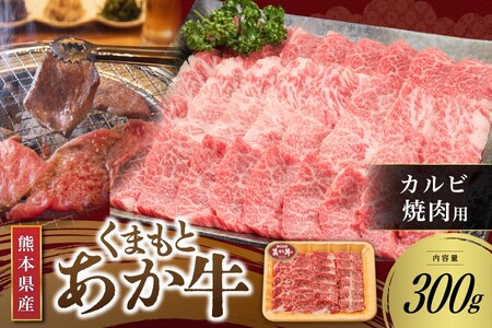 【くまもとあか牛】熊本県産 褐毛和牛 カルビ 焼肉用 300g くまもとあか牛 あか牛 肉 牛 牛肉 国産牛 バーベキュー 焼肉 さくらや食品 熊本 阿蘇 南小国 南小国町 送料無料