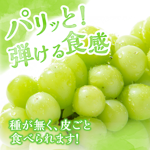 【2025年先行予約】北杜市白州　名水の里の特選シャインマスカット　約1kg(2房)　贈答にもおススメ シャインマスカット 特選 ブドウ 約1kg 2房 数量限定 名水の里 ぶどう フルーツ 果物 く