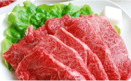 【定期便3ヶ月】熊本県産GI認証_くまもとあか牛 焼肉用500g - お肉 牛肉 和牛 焼肉 国産 九州産 熊本県産