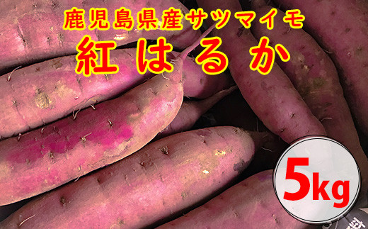 ZS-906 【2024年内発送】【農家直送】ママたちの想いをギュッ！薩摩で育てたさつまいも（紅はるか）洗い5kg 中サイズ