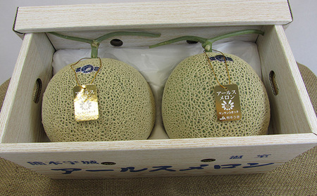 【先行予約】アールスメロン 2玉入り 合計約3.4kg【2026年6月上旬〜6月下旬頃発送予定】