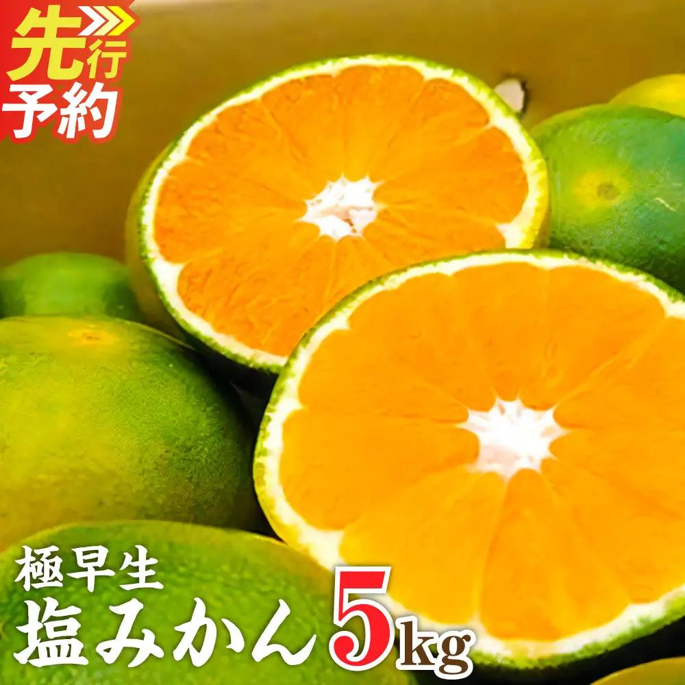A155 福岡県山川産 極早生 塩みかん(緑) 5kg 【2026年9月下旬～10月下旬発送予定】 早採り 蜜柑
