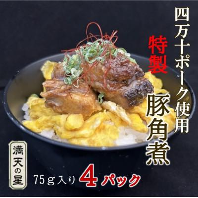 ふるさと納税 津野町 津野町 満天の星特製　角煮(四万十ポーク使用)75g×4袋