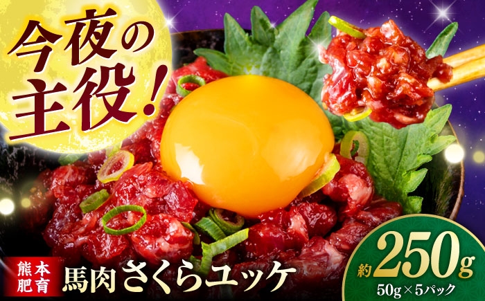 
                  馬肉さくらユッケ 250g ( 50g × 5 ） 【合同会社　長岡フーズ】 [ZFR017]
                