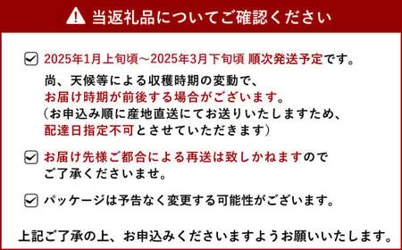 【2025年3月発送】糖度12度以上保証 ブランド苺「極幸乃香(きわみさちのか)」600g【園村苺園】