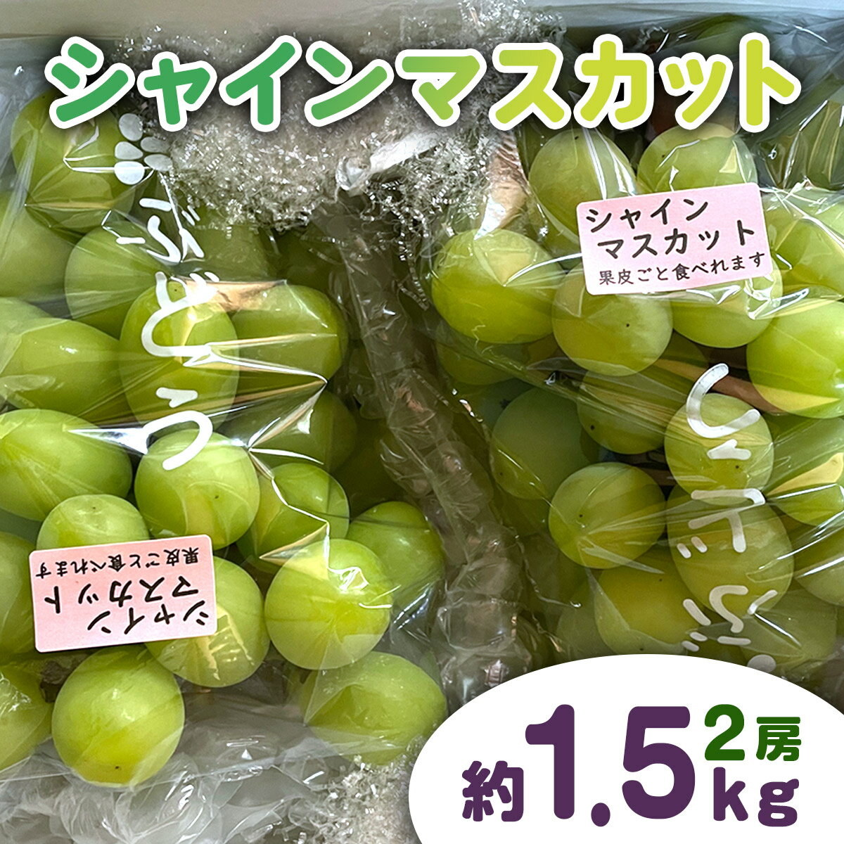 【ふるさと納税】シャインマスカット約1.5kg(2房)｜ブドウ 葡萄 ぶどう 神宮寺ぶどう 織姫の里からの贈り物 [0668]