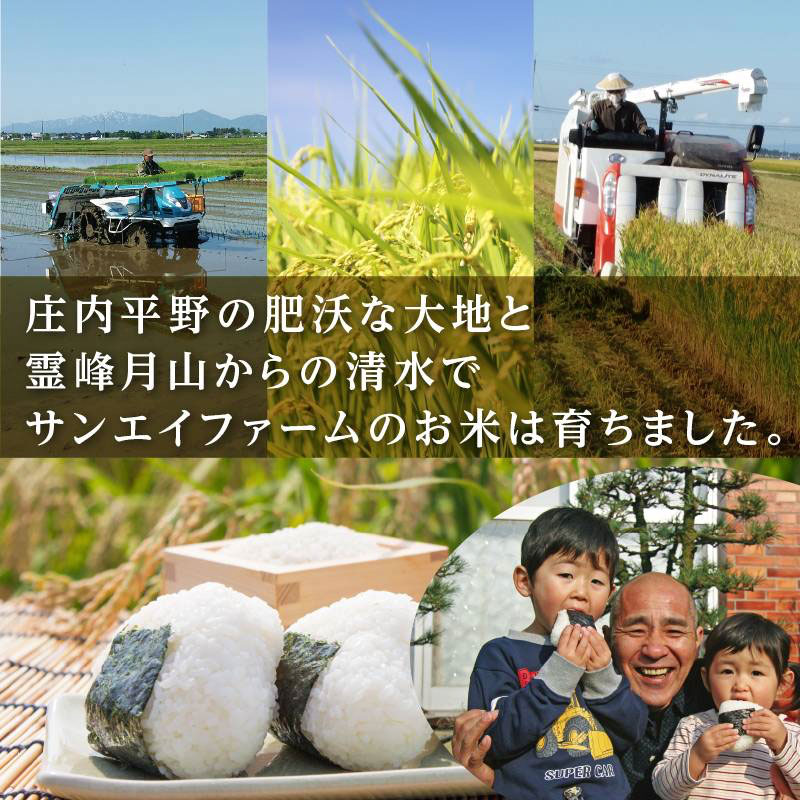 【令和8年産先行予約】【3ヶ月定期便】工藤さんの特別栽培米 雪若丸 無洗米 10kg（5kg×2袋）×3回（計30kg） 山形県鶴岡市　株式会社サンエイファーム　| 無洗米 ゆきわかまる 米どころ 庄