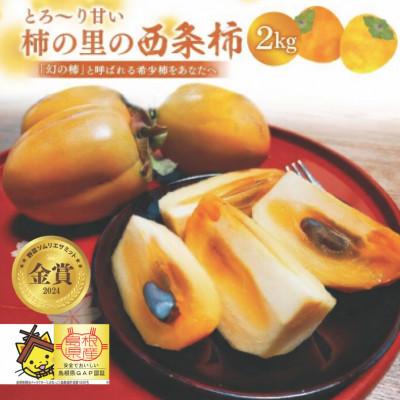 ふるさと納税 松江市 とろ〜り甘い柿の里の西条柿 2kg(8玉〜12玉)
