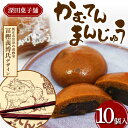 【ふるさと納税】 深田菓子舗 かむてんまんじゅう 10個入 和菓子 饅頭 山形県 新庄市 F3S-2047