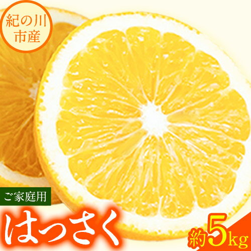 【ふるさと納税】【先行予約】八朔 約5kg ご家庭用 m＆n果実園《2026年1月下旬-3月中旬頃出荷》和歌山県 紀の川市 果物 はっさく フルーツ 柑橘類 送料無料