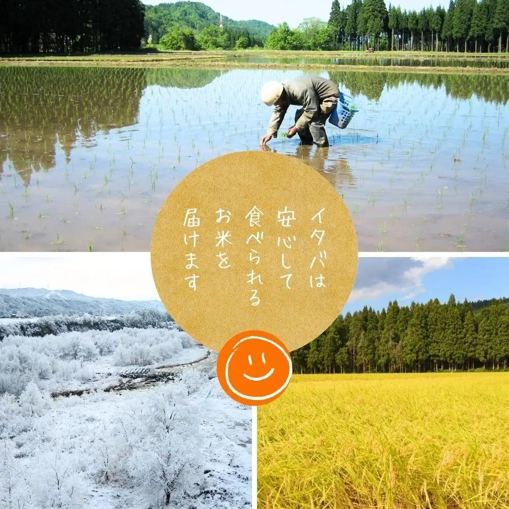 中魚沼産「新之助(しんのすけ)」玄米 5kg 有限会社イタバ |津南町 令和7年
