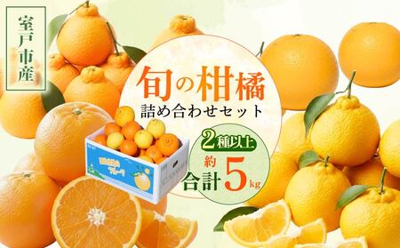 【旬の柑橘詰め合わせ 5㎏ 】訳あり 訳アリ わけあり 規格外 不揃い 傷 柑橘 詰め合わせ 食べ比べ 2種以上 セット ミカン みかん 蜜柑 ポンカン ぽんかん せとか デコポン 不知火 しらぬい なつみ 小夏 フルーツ ふるーつ くだもの 果物 青果 柑橘類 産地直送 産直 旬 期間限定 予約 家庭用 自宅用 お取り寄せ 西山台地のフルーツ園 高知県 室戸市