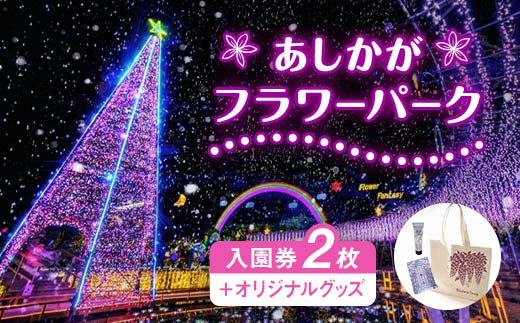 
【ふるさと納税】あしかがフラワーパーク入園券（2枚）+オリジナルグッズ
