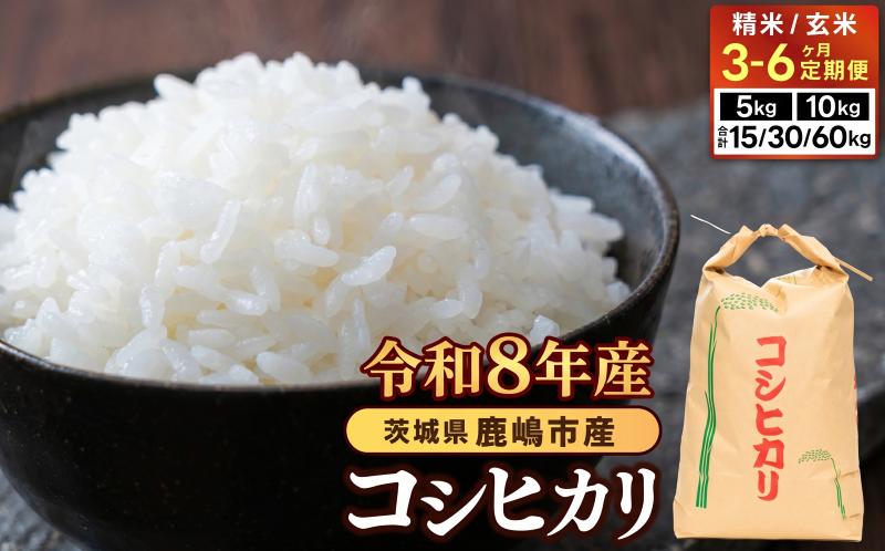 
                  【先行予約】 新米 コシヒカリ 米 選べる容量 5kg 10kg 30kg 定期便 3カ月 6カ月 精米 玄米 白米 ブランド米 数量限定 国産 おむすび おにぎり 弁当 美味しい グルメ 白飯 飯 ごはん ご飯 コメ おこめ こめ ※ okome kome rice 朝食 贈答 贈り物 産地直送 お取り寄せ ギフト こしひかり 鹿嶋市産 令和8年産 茨城県 鹿嶋市 【10月以降順次発送】 
                