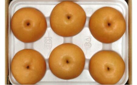 梨 2024年先行予約 岡山県産 新高梨 約3kg 4～6玉 お届け 2024年10月中旬～2024年11月中旬 [No.5220-1417]