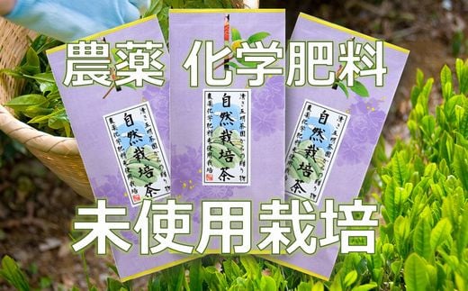 ２０３５　農薬 と 化学肥料未使用の 自然栽培茶 100ｇ×3袋　計300ｇ　美笠園