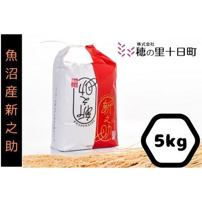 ふるさと納税 十日町市 令和7年産【10月発送開始】魚沼産【新之助】精米5Kg