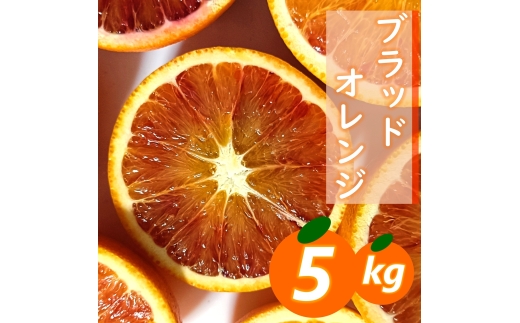 【先行受付】愛咲果樹園「ブラッドオレンジ」約5kg【71-45】YWTS067
