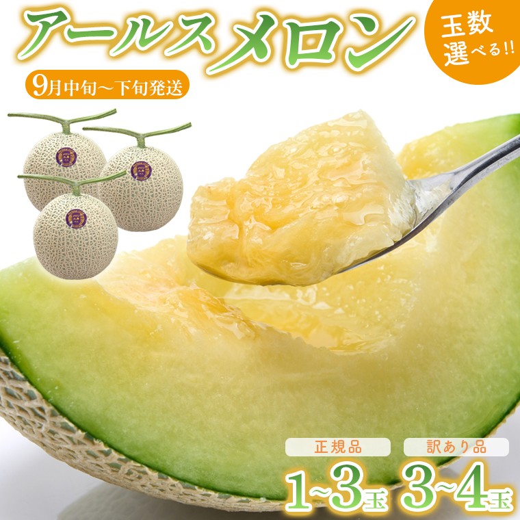 
                  アールスメロン 1玉 2玉 3玉 訳あり 3～4玉 選べる 【9月中旬～下旬頃発送】　メロン工房 川上　メロン アールス フルーツ 果物 2026年 おすすめ 甘い 糖度 贅沢 みずみずしい ジューシー 肉厚 期間限定 数量限定 季節限定 国産 彼岸 房総 千葉県 富津市 メロン工房 川上
                