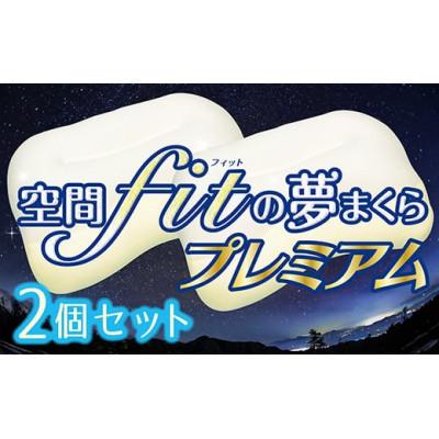 ふるさと納税 横芝光町 【枕2個セット】空間fit(フィット)の夢まくらプレミアム「頭をのせれば夢ごこち…」