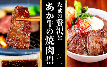 長崎和牛 あか牛 焼肉用 1kg (500g×2)《対馬市》【高田牧場】 対馬 牛 和牛 焼肉 冷凍配送[WCR004]
