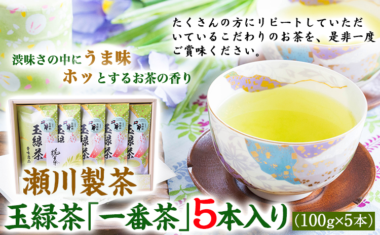 玉緑茶(たまりょくちゃ)「一番茶」 100g×5本 熊本県 大津町産 株式会社 瀬川製茶《60日以内に出荷予定(土日祝除く)》