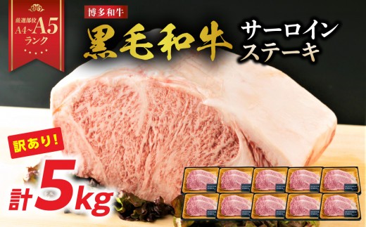 
            【厳選部位 A4～A5】訳あり！博多和牛サーロインステーキセット 5kg（250g2枚入り×10p） 牛肉 牛肉 5kg 牛肉 ステーキ 牛肉 ステーキ サーロイン 黒毛和牛 ステーキ 黒毛和牛 ステーキ サーロイン 博多和牛 A4 A5 厳選部位 化粧箱 福岡県 八女市
          