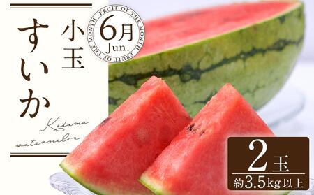 定期便全3回　和歌山の人気の夏のフルーツをお届け！