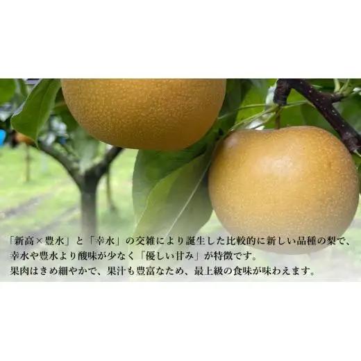 【 先行予約 】茨城県産 梨 あきづき 約5kg 8玉～12玉 ( 茨城県共通返礼品 : 常陸太田市 ) 【 2026年 9月中旬頃より発送 】