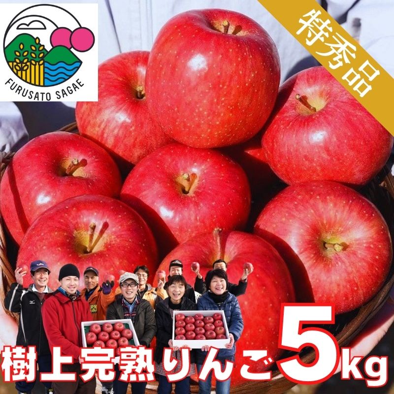 【ふるさと納税】令和7年産 樹上完熟りんご「サンふじ」特秀品 5kg（14〜18玉） 2025年産 山形県産 【2025年12月上旬頃〜下旬頃発送予定】 お取り寄せ ご当地 特産 産地直送 果物 フルーツ 林檎 リンゴ デザート おやつ 製菓 東北 5キロ