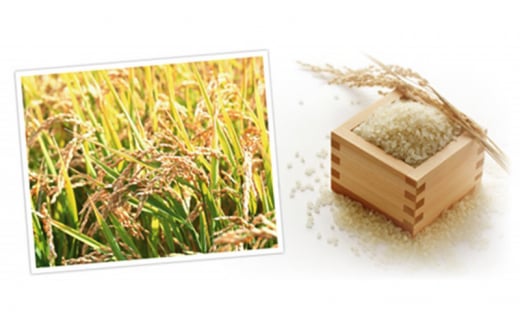 【ご注文後精米】「寿五位（すっごい）高岡牛」Cセット（