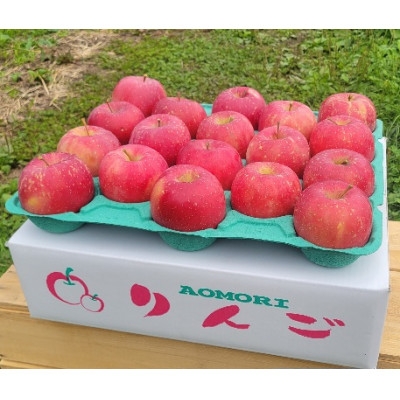 
                  ＜訳あり＞青森県産りんご「早生ふじ 家庭用」約5kg　産地直送!【1513094】
                