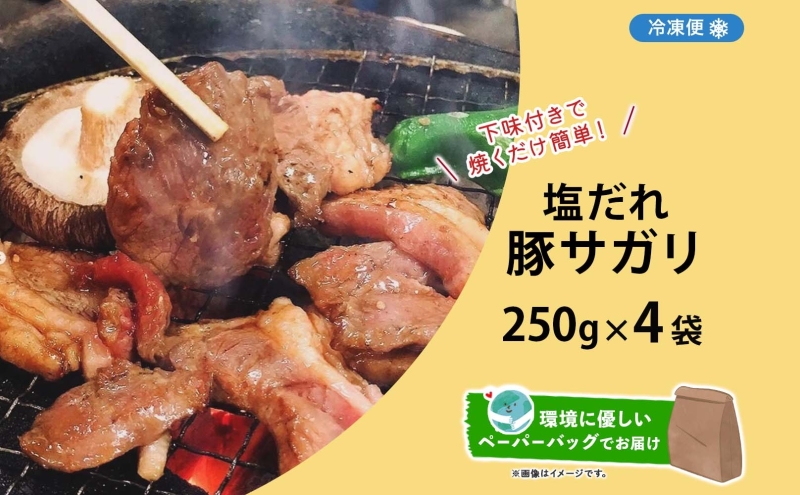 塩ダレ豚サガリ 250g×4袋 豚肉 焼肉 ヘルシー サガリ肉 酒のお供 おつまみ おかず 白米 冷凍 焼くだけ簡単 一人暮らし 真空パック お取り寄せグルメ お肉屋 たどころ 送料無料 北海道 洞爺