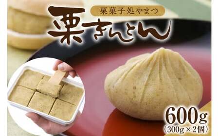 栗菓子処やまつ 栗きんとん300g×2（冷凍） F4N-2952