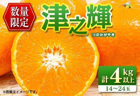 先行予約 数量限定 津之輝 つのかがやき 4kg以上 (2kg×2箱) フルーツ 果物 くだもの 柑橘 みかん 国産 食品 おすすめ ギフト 贈り物 贈答 プレゼント お返し お祝い 記念日 デザート おやつ フルーツサンド ジュース 宮崎県 日南市 送料無料 南郷包装津之輝_BD92-24