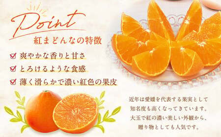 愛媛の旬の柑橘 「紅まどんな」約1.7kg 4L～Lサイズ 6～10個（青マル以上）【2026年12月発送予定】（11-2）紅まどんな 紅マドンナ まどんな マドンナ みかん ミカン 蜜柑 果物 くだ