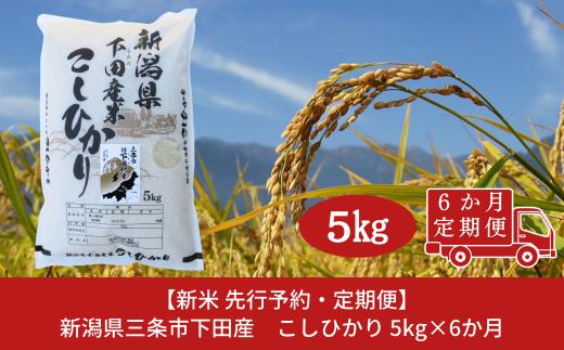 先行予約 [定期便5kg×6か月] 新潟県産 こしひかり [10月上旬から発送予定] 新潟県 三条市 下田産 コシヒカリ 精米 白米 【060S007】