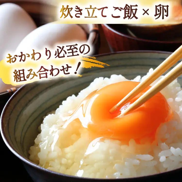 3回 定期便 米 宮城県産 とまたんのひとめぼれ 10kg (5kg×2袋) 総計30kg 