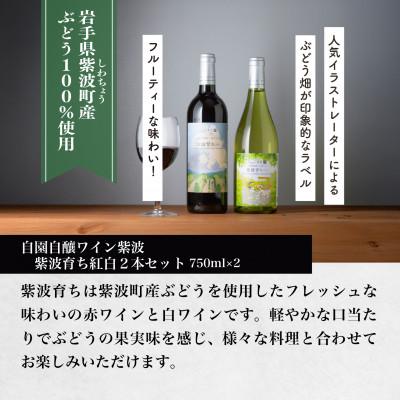 ふるさと納税 紫波町 【自園自醸ワイン紫波】紫波育ち紅白2本セット |  | 01
