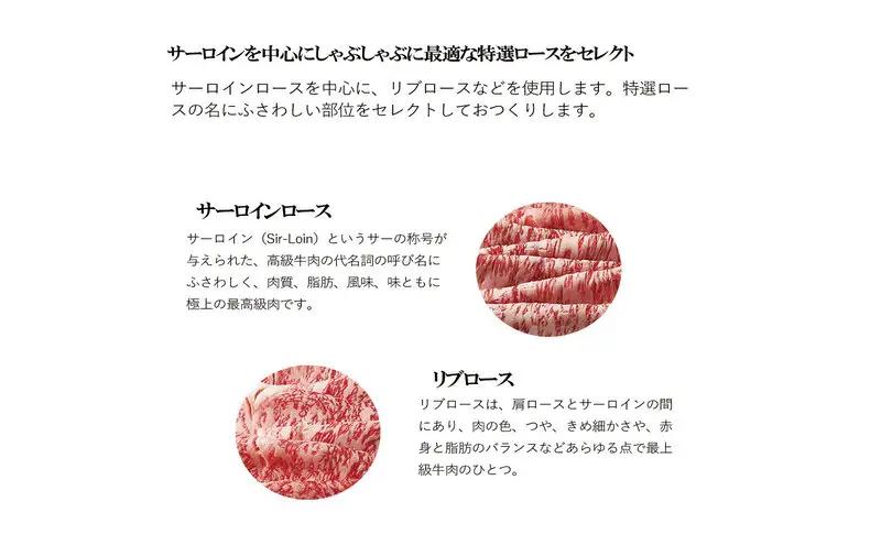 松阪牛 しゃぶしゃぶ 特選ロース 500g 松阪牛