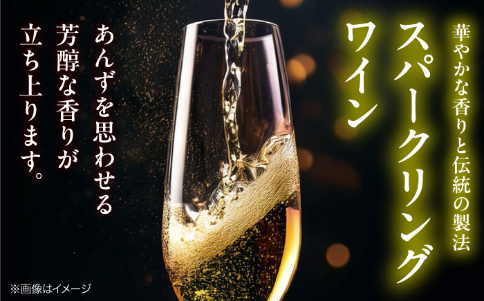 VILLAQUA -イエロー- 750ml×2本 白ワイン ワイン スパークリングワイン 発泡性 辛口 ギフト 広島 三次 酒 三次市 / 広島三次ワイナリー [APAZ149]