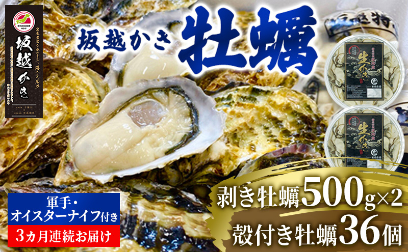 【発送月固定定期便】3ヶ月連続 坂越かき 剥き身500g×2 殻付き36個軍手・牡蠣ナイフ付全3回