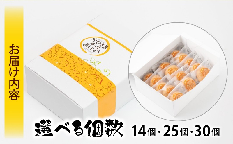 おひさまチーズまんじゅう14個入 A-164