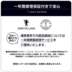 スーツケース 【 L 】 グレー スーツケース トラベル G583