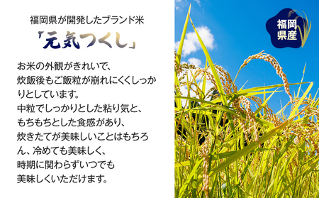 【令和7年産】 福岡県 大木町産 元気つくし 20kg　BC05