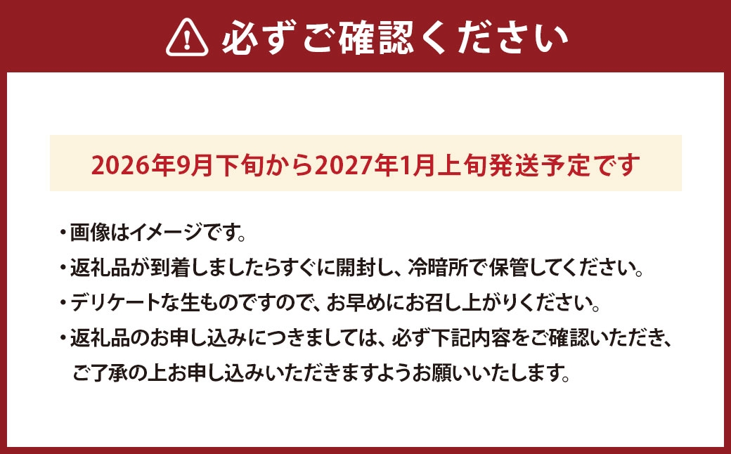 有機みかん約5kg